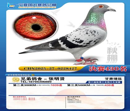 国力秋棚决赛430名