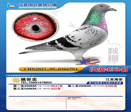 国力秋棚决赛432名