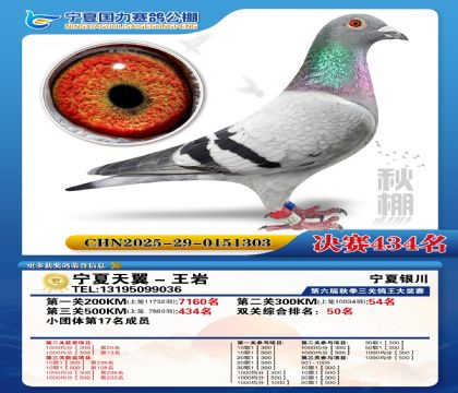 国力秋棚决赛434名