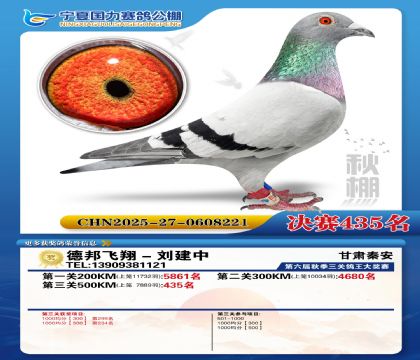 国力秋棚决赛435名