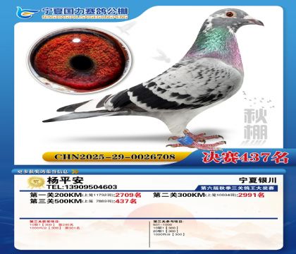 国力秋棚决赛437名