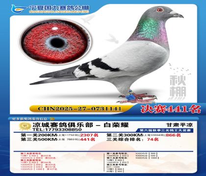 国力秋棚决赛441名