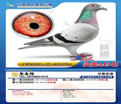 国力秋棚决赛445名