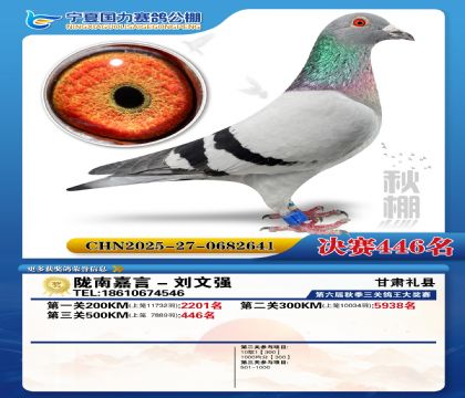 国力秋棚决赛446名