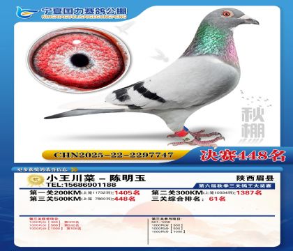 国力秋棚决赛448名