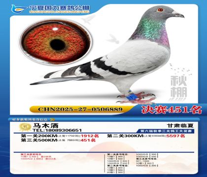 国力秋棚决赛451名