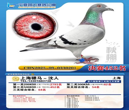 国力秋棚决赛452名