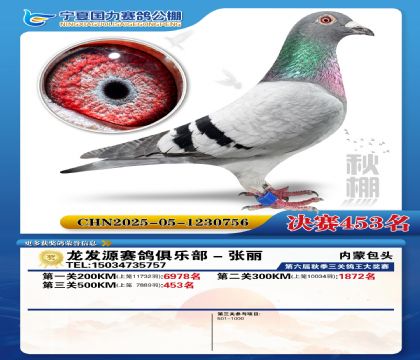 国力秋棚决赛453名