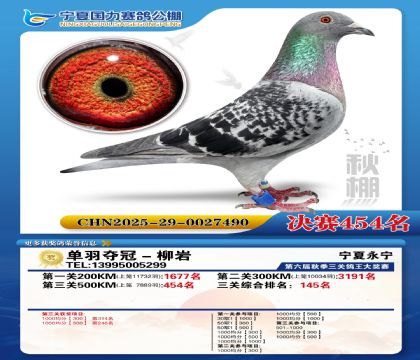 国力秋棚决赛454名