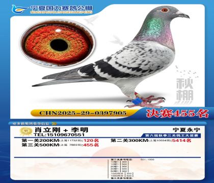 国力秋棚决赛455名