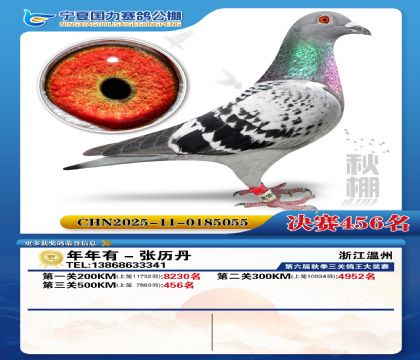 国力秋棚决赛456名