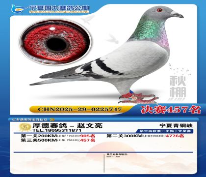 国力秋棚决赛457名