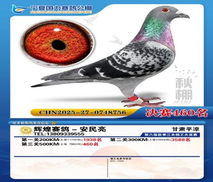 国力秋棚决赛460名