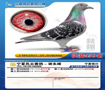 国力秋棚决赛459名