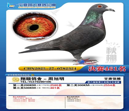 国力秋棚决赛461名