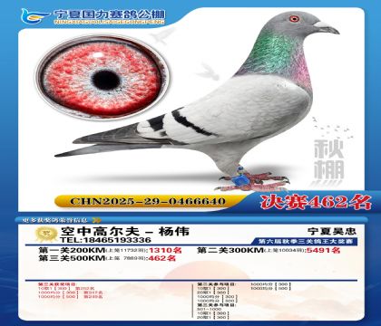 国力秋棚决赛462名