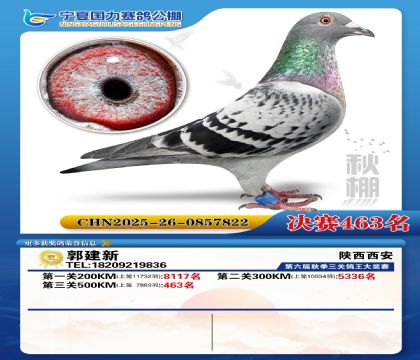 国力秋棚决赛463名