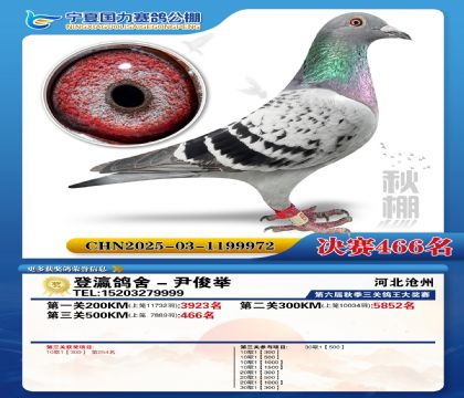 国力秋棚决赛466名