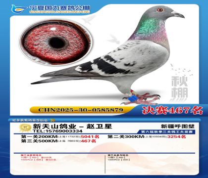 国力秋棚决赛467名