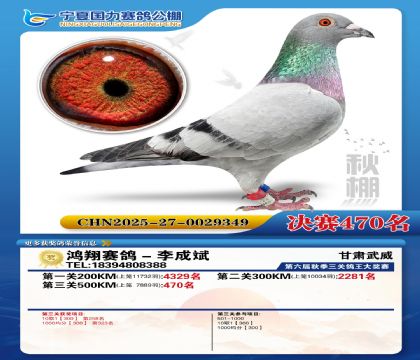 国力秋棚决赛470名