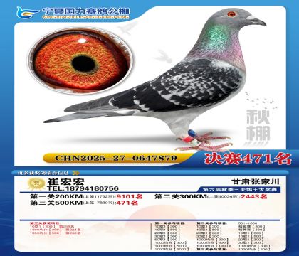 国力秋棚决赛471名