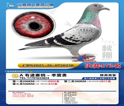 国力秋棚决赛472名