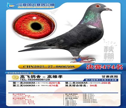 国力秋棚决赛474名