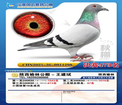 国力秋棚决赛473名