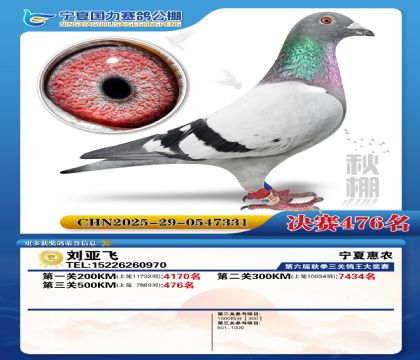 国力秋棚决赛476名