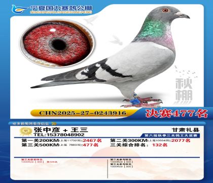 国力秋棚决赛477名