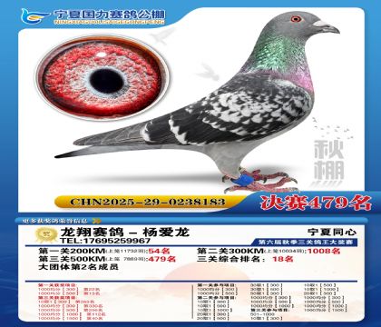 国力秋棚决赛479名