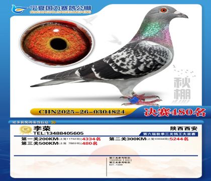 国力秋棚决赛480名