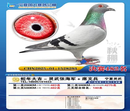 国力秋棚决赛482名