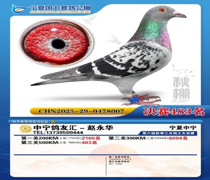 国力秋棚决赛483名