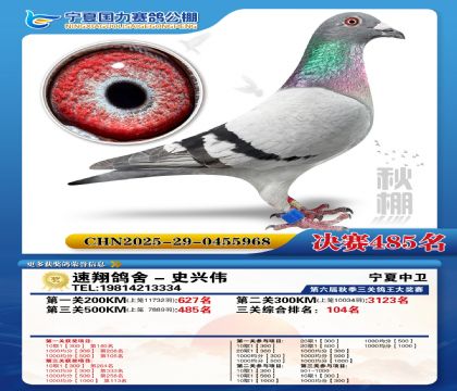 国力秋棚决赛485名