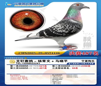 国力秋棚决赛487名