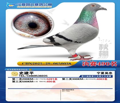 国力秋棚决赛490名