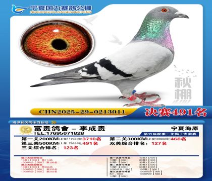 国力秋棚决赛491名