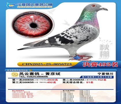 国力秋棚决赛492名