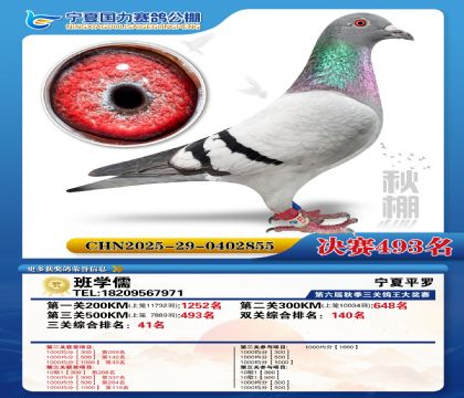 国力秋棚决赛493名