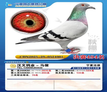 国力秋棚决赛494名