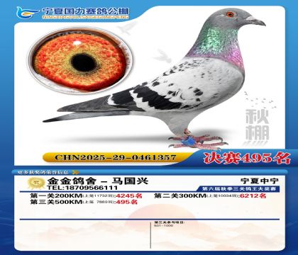 国力秋棚决赛495名