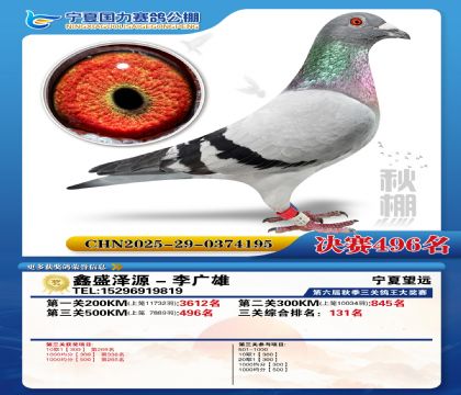 国力秋棚决赛496名