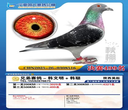 国力秋棚决赛499名