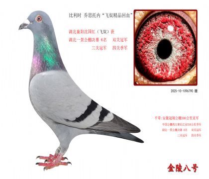 2r(sh) ˼Ѓ(ni)wūƷѪ