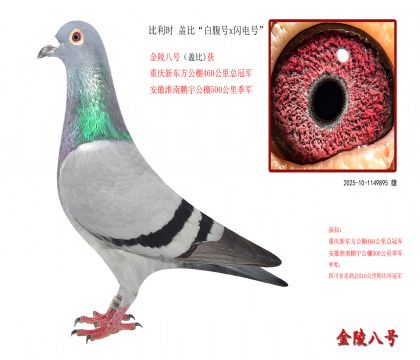 5r(sh) wȡ׸̖(ho)xW̖(ho)