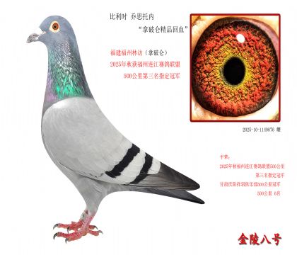 9r(sh) ˼Ѓ(ni)ƁƷѪ