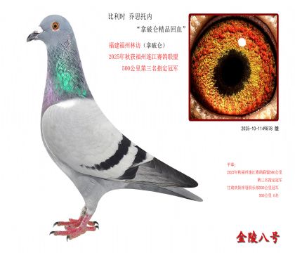 10r(sh) ˼Ѓ(ni)ƁƷѪ