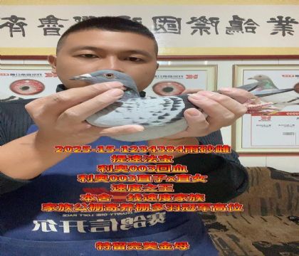 ٶȡC(j)W003Ѫĸĸ