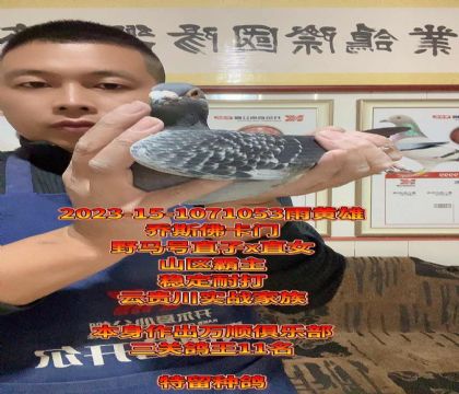 ɽ^(q)F(sh)(zhn)˹T(mn)